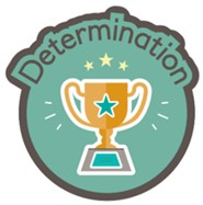 Determination Value